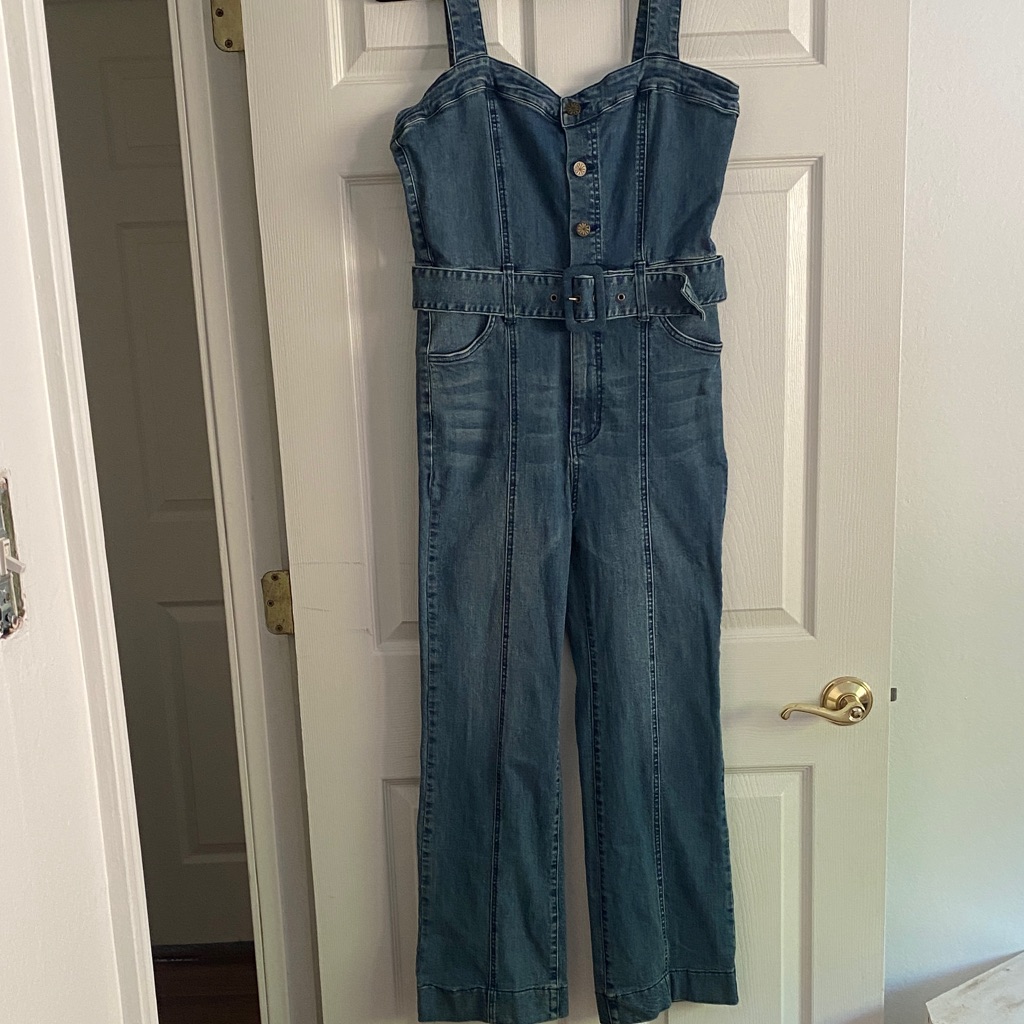 Show Me Your Mumu Blue Denim Overalls